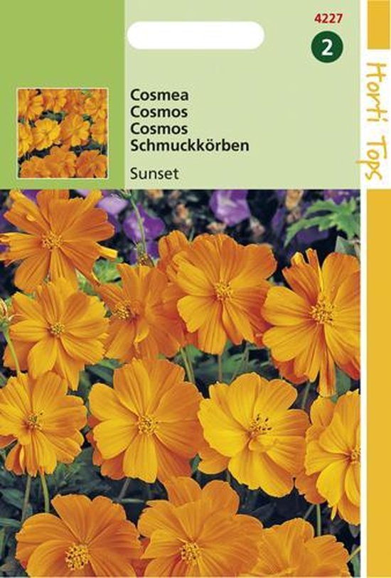 Hortitops Zaden - Cosmos Sulphureus Sunset Oranje-Rood