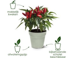 Elho Green Basics Orchidee 15 - Bloempot voor Binnenbuitenkweken En Oogsten - Ø 15.0 x H 13.9 cm - Living black