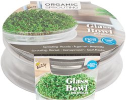 Buzzy Kweekset BIO Glazen Bowl