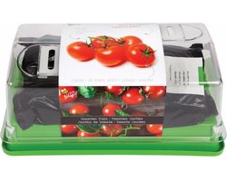 Buzzy® Kids Kweekset compleet Tomaat