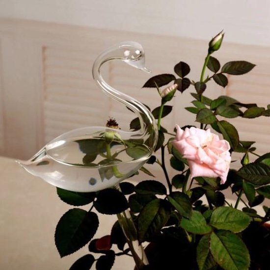 Waterdruppelaar planten - vorm Zwaan