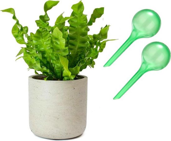 Waterbol groen (S) - Set 2 stuks / Waterdruppelaar, plantdruppelaar, watergeefsysteem, druppelsysteem, bewateringssysteem voor blije planten