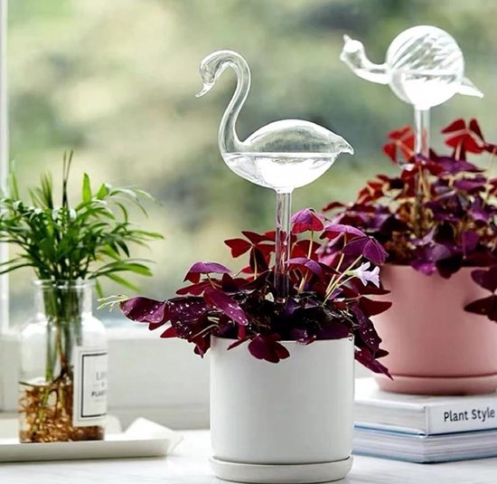 Waterdruppelaar zwaan / bewateringssysteem planten / planten  binnen en buiten