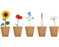 Kweekset bloemen - Moestuin - Kweekbak - Moestuin zaden - Moestuin artikelen - Lavendel - Vergeet-mij-nietje - Zonnebloem - Margriet - Klaproos - Plantensteker - Kokostabletten - Set - 20-delig
