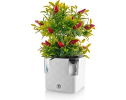 Cobble - Slimme kruidenpot met bewateringssysteem - Kristalwit - Kruidenbak - Kweekbak - Plantenbak