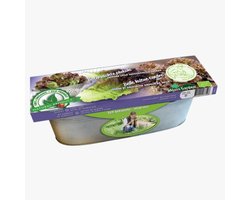 Zinken Teil Snijsla Red Salad Bowl BIO - Moestuin - Biologische-Ecologische zaden - (Ook)-Voor in huis