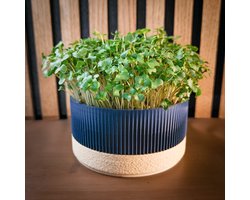 Microgroenten & Cressen Growkit – Makkelijk startpakket voor beginners – Oogst in 1 week – Leuk cadeau – Duurzaam - Marine Sand - DIY kweekset